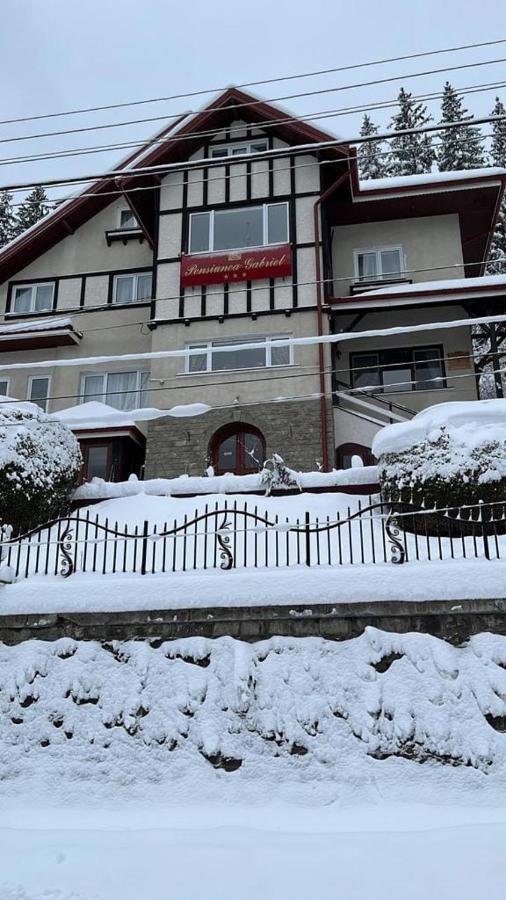 Vila Gabriel Sinaia Exterior foto