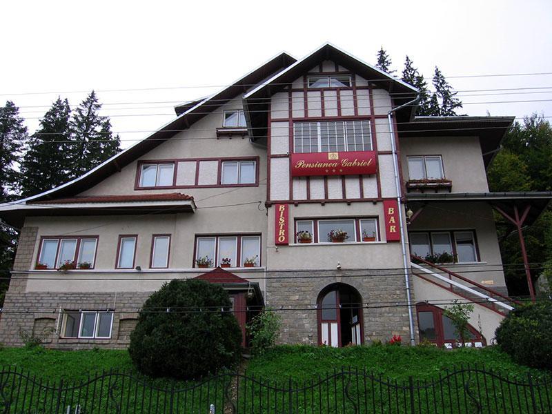 Vila Gabriel Sinaia Exterior foto
