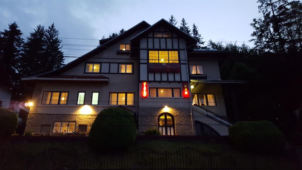 Vila Gabriel Sinaia Exterior foto