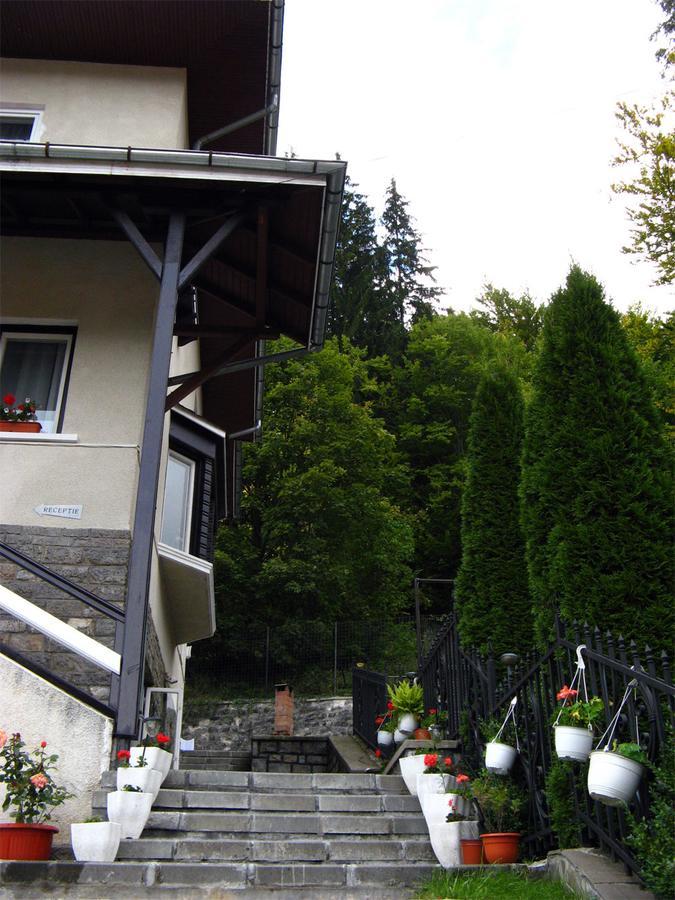 Vila Gabriel Sinaia Exterior foto