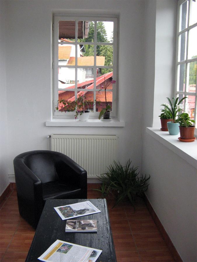 Vila Gabriel Sinaia Exterior foto