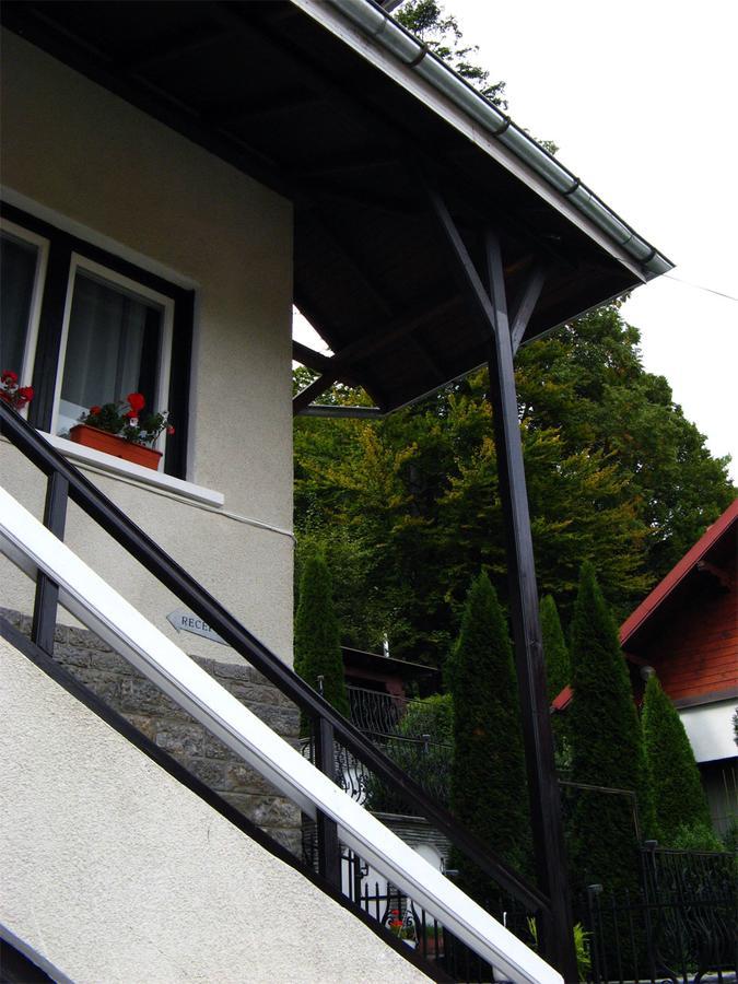 Vila Gabriel Sinaia Exterior foto